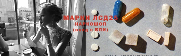 эйфоретик Аркадак