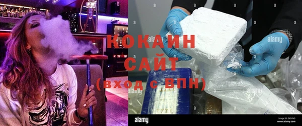 хмурый Алзамай