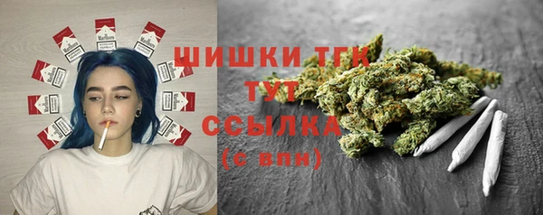 эйфоретик Аркадак
