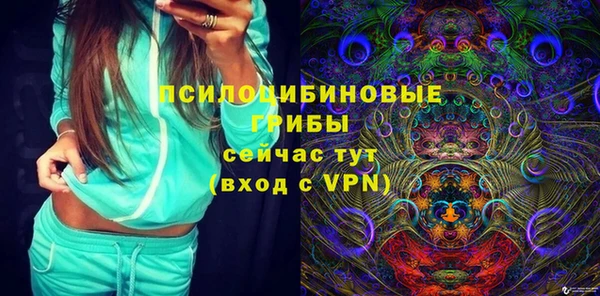 эйфоретик Аркадак