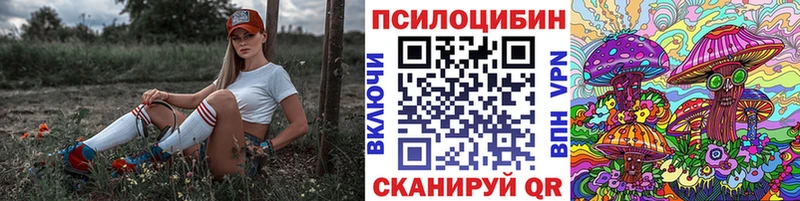 Псилоцибиновые грибы Psilocybe Кирово-Чепецк